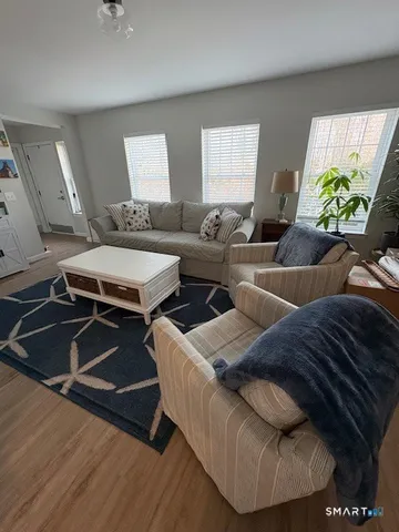 a living room with furniture and a potted plant