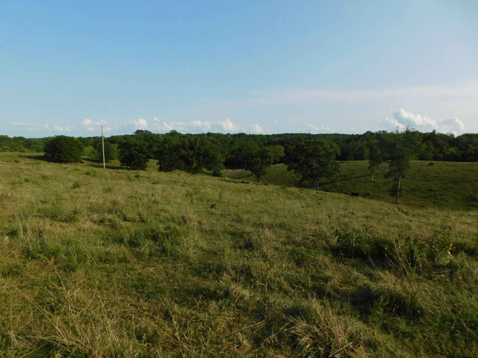 New Columbus Road Corinth, KY 41010 - Photo 7 of 14