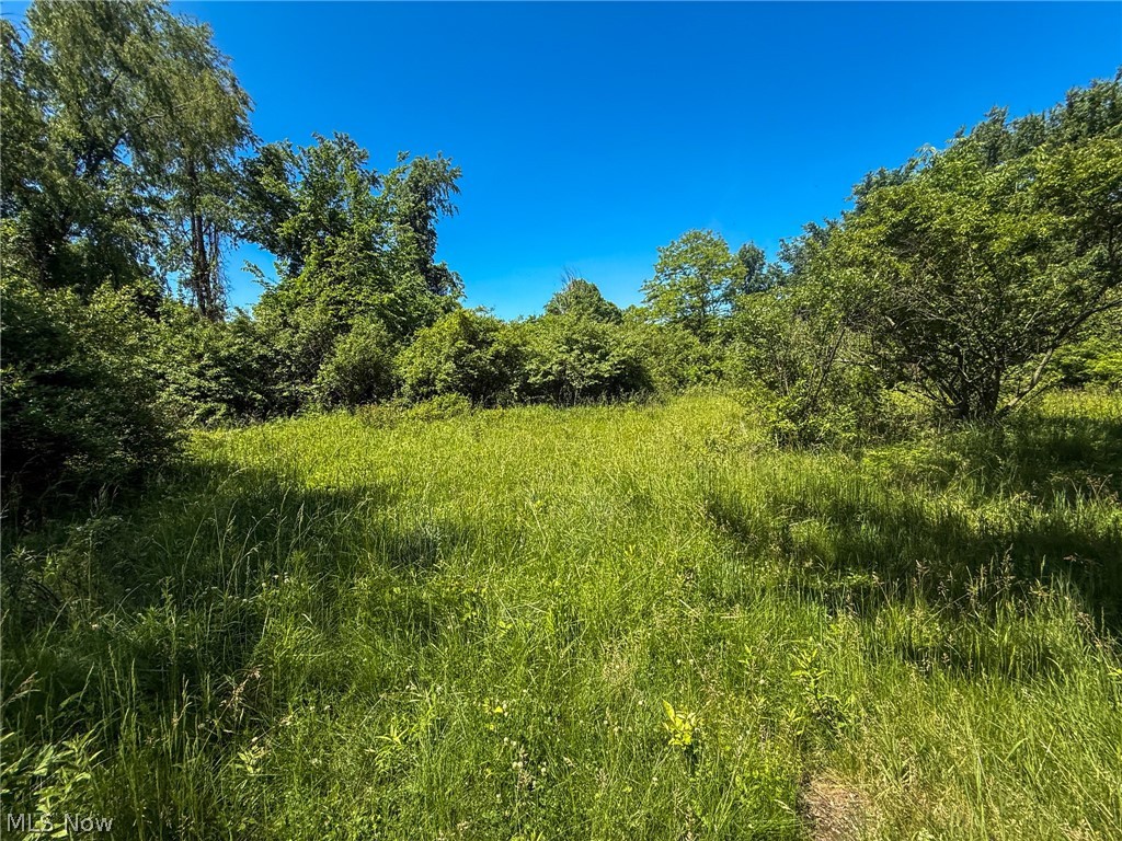 Lot 2 Altamont Road Mingo Junction, OH 43938 - Photo 18 of 26 Gallery Image 18