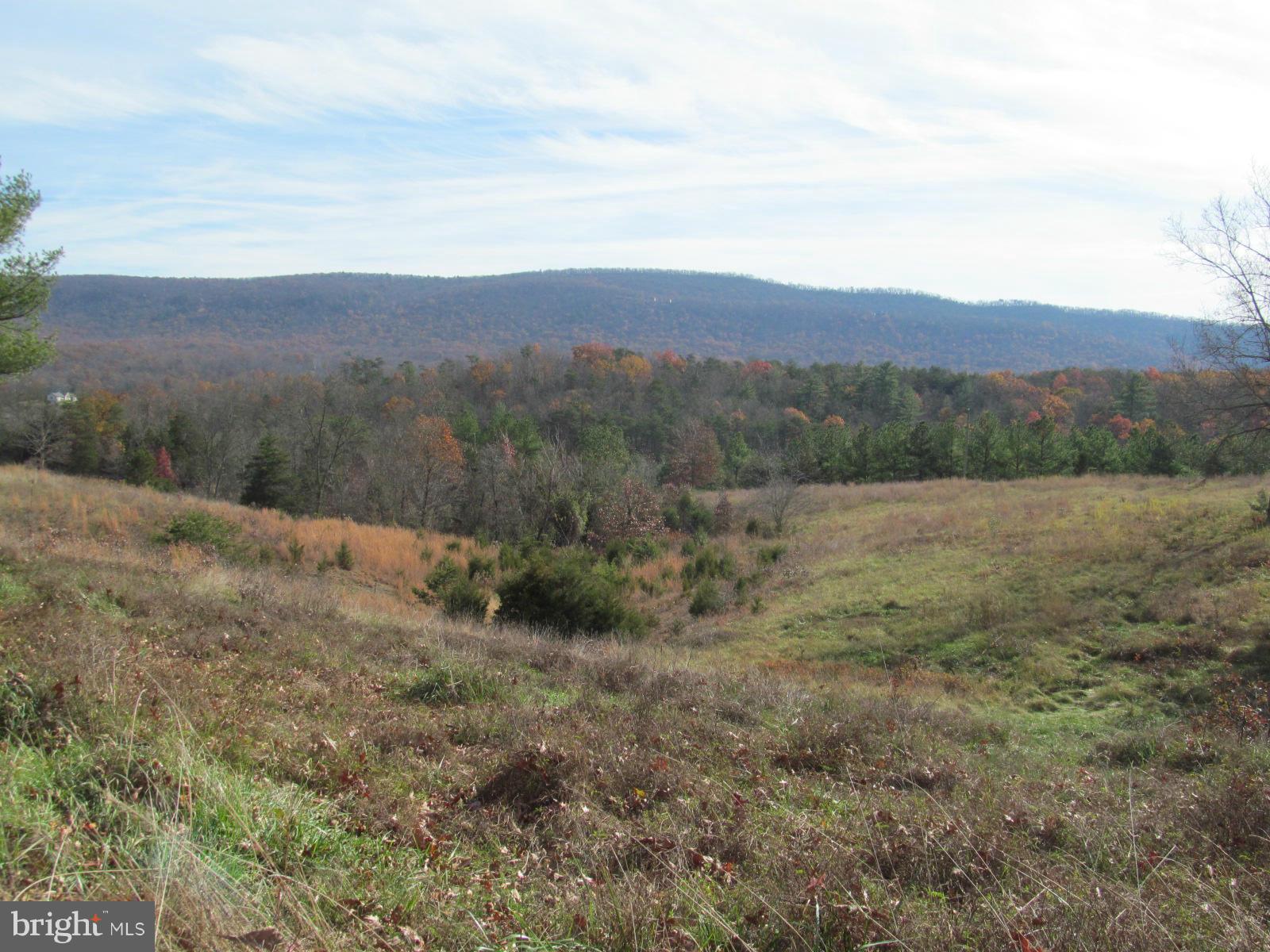 7782 Fort Valley Road Fort Valley, VA 22652 - Photo 26 of 30 a view of a field with trees in the background