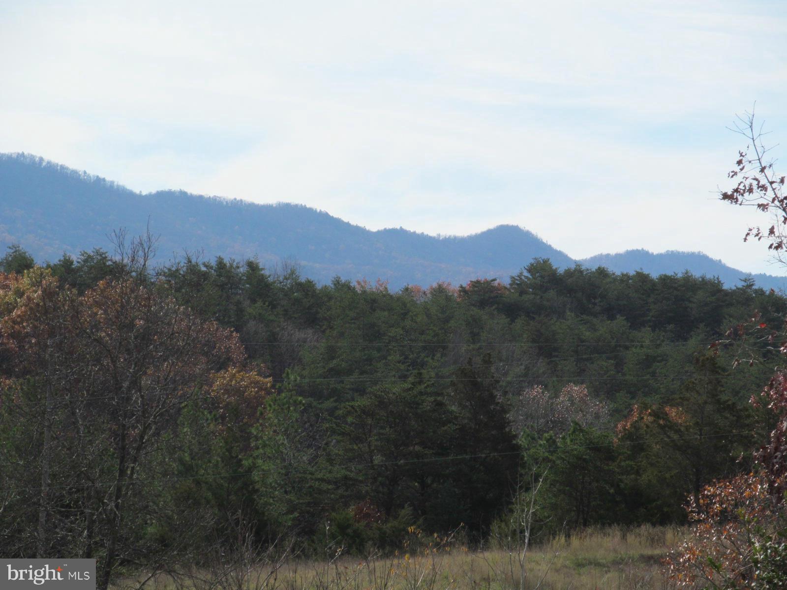 7782 Fort Valley Road Fort Valley, VA 22652 - Photo 28 of 30 a view of a town with mountains in the background