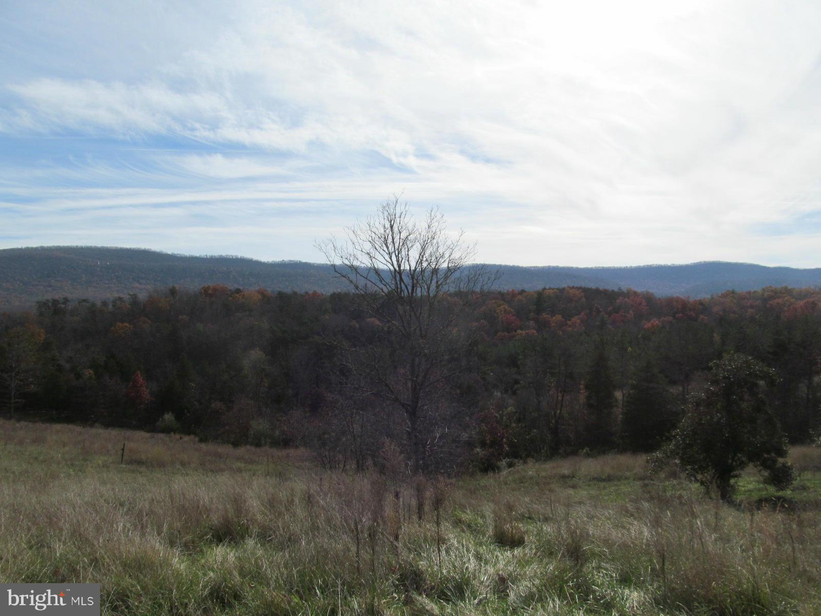 7782 Fort Valley Road Fort Valley, VA 22652 - Photo 29 of 30 a view of a yard