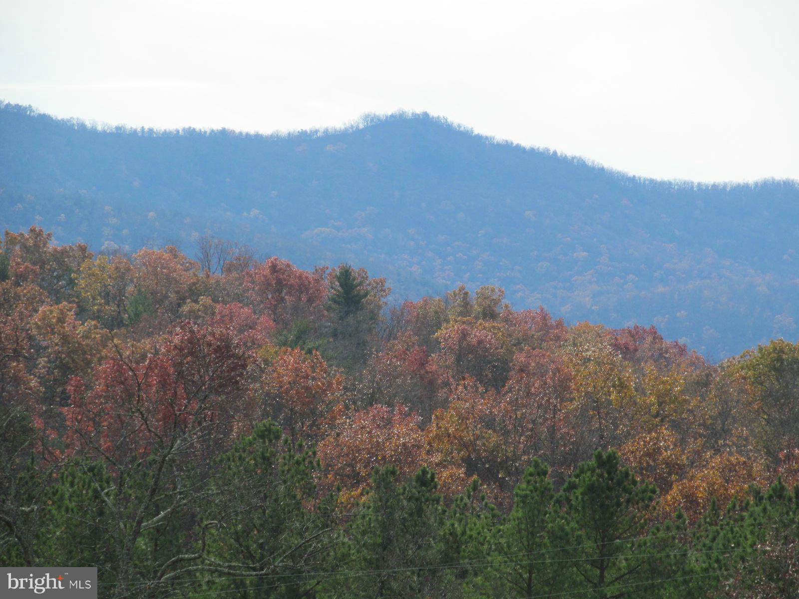 7782 Fort Valley Road Fort Valley, VA 22652 - Photo 30 of 30 a view of a house with a mountain and a forest