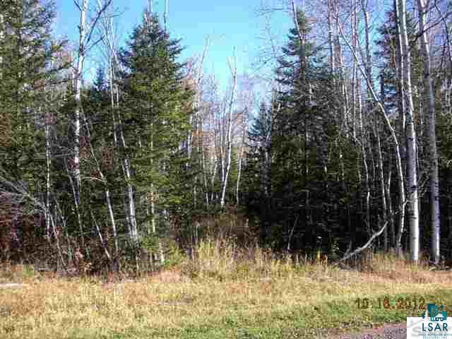 Xxx Gustafson Road Port Wing, WI 54865 - Photo 1 of 5