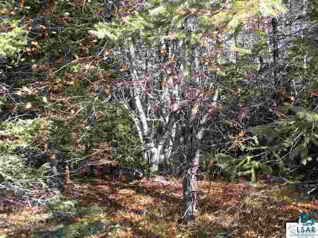 Xxx Gustafson Road Port Wing, WI 54865 - Photo 2 of 5