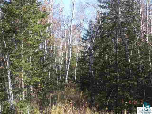 Xxx Gustafson Road Port Wing, WI 54865 - Photo 3 of 5