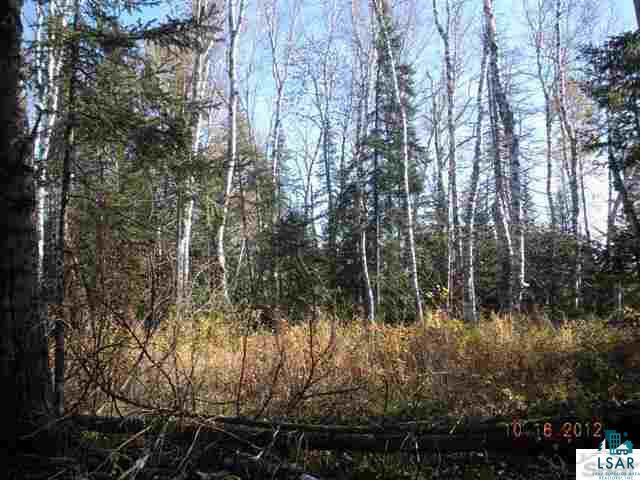 Xxx Gustafson Road Port Wing, WI 54865 - Photo 4 of 5