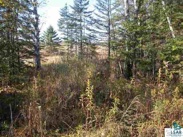 Xxx Gustafson Road Port Wing, WI 54865 - Photo 5 of 5