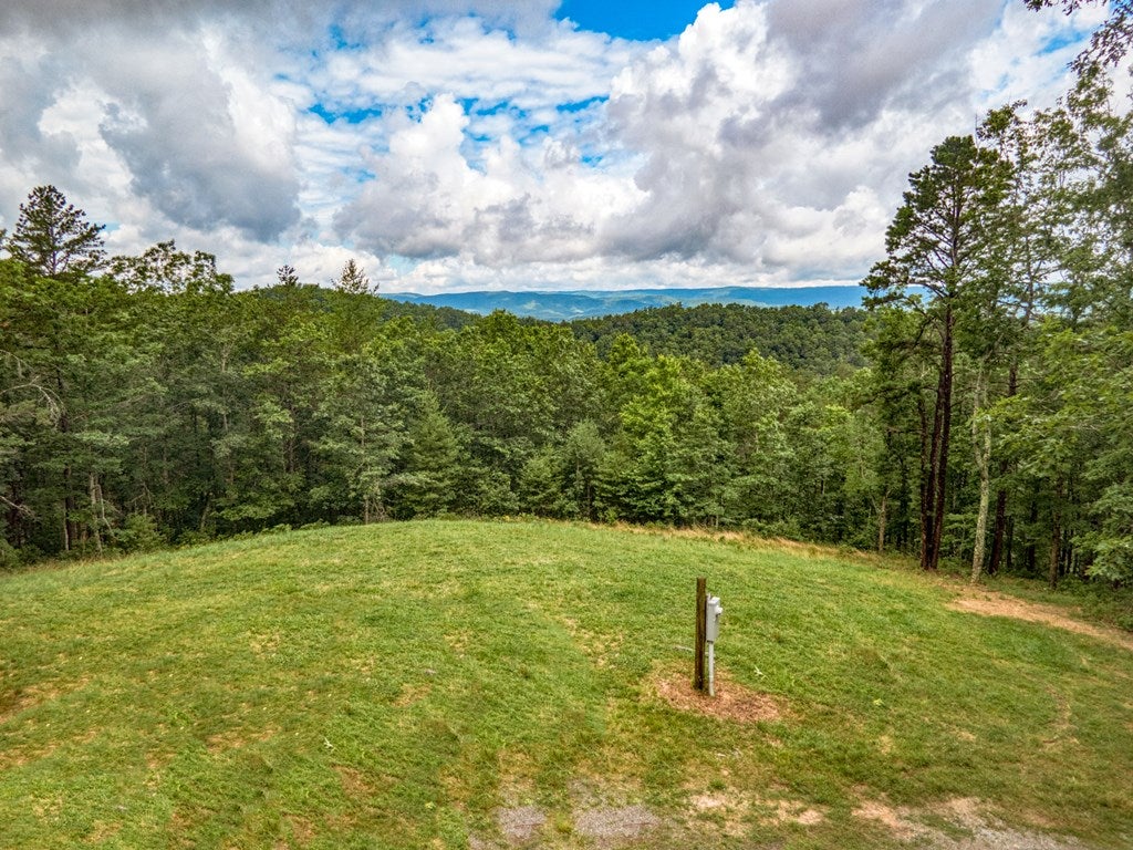 1143.5 Price Ridge Road, Unit 10 Bland, VA 24315 - Photo 24 of 69 Gallery Image 24