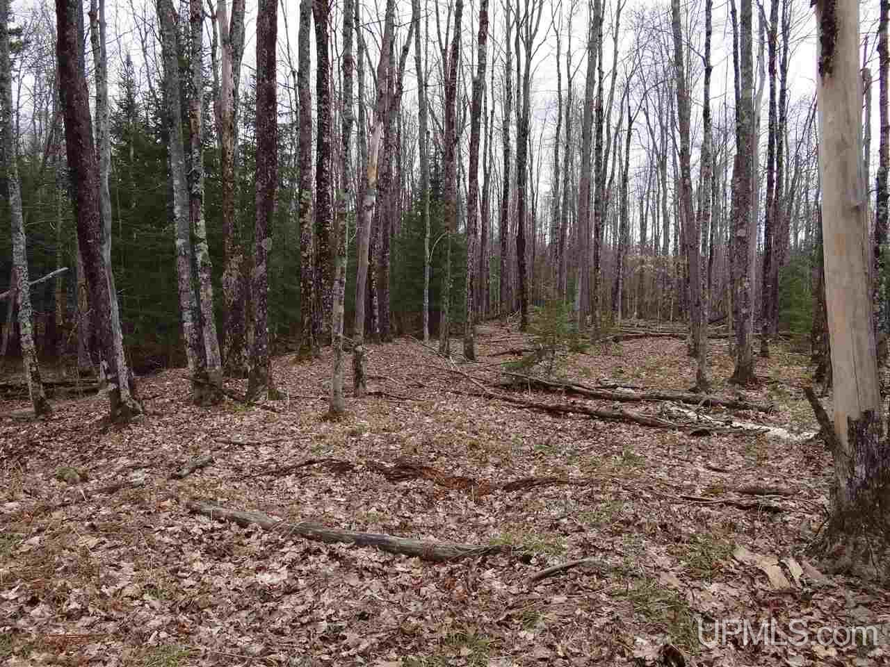 Tbd Dogpatch Road, Unit LOT I Lanse, MI 49946 - Photo 17 of 25
