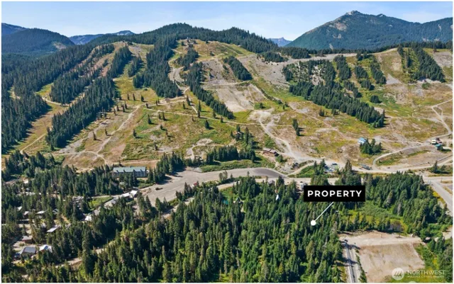 an aerial view of residential houses with outdoor space and trees