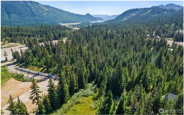 a view of a forest with a mountain and trees