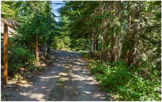 a view of outdoor space and trees