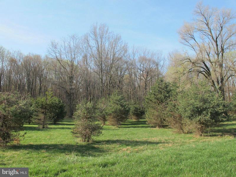 17521 Old Baltimore Road Olney, MD 20832 - Photo 23 of 27 Exterior (General)