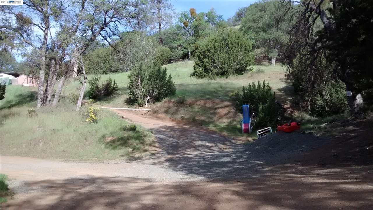 a view of a dirt road with trees in front of it