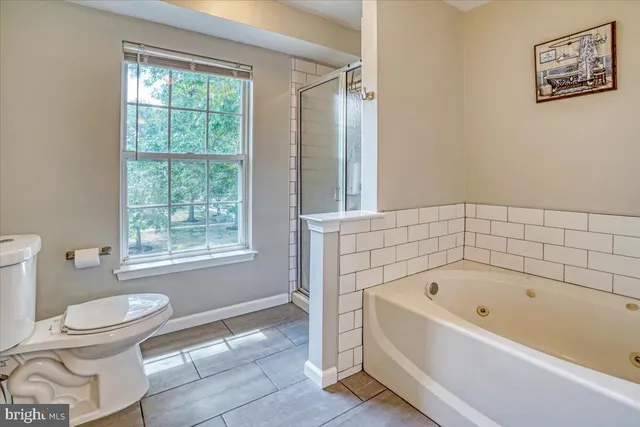 a bathroom with a bathtub and a toilet