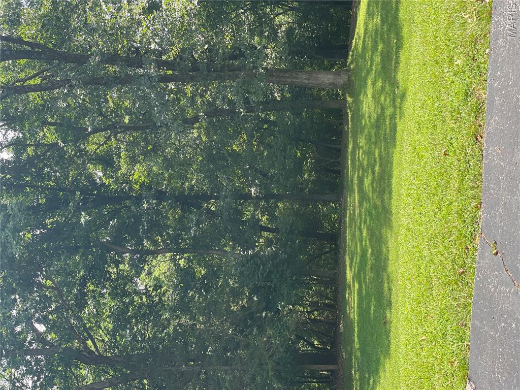 1191 Wood Summit Road Ellisville, MO 63021 - Photo 6 of 16