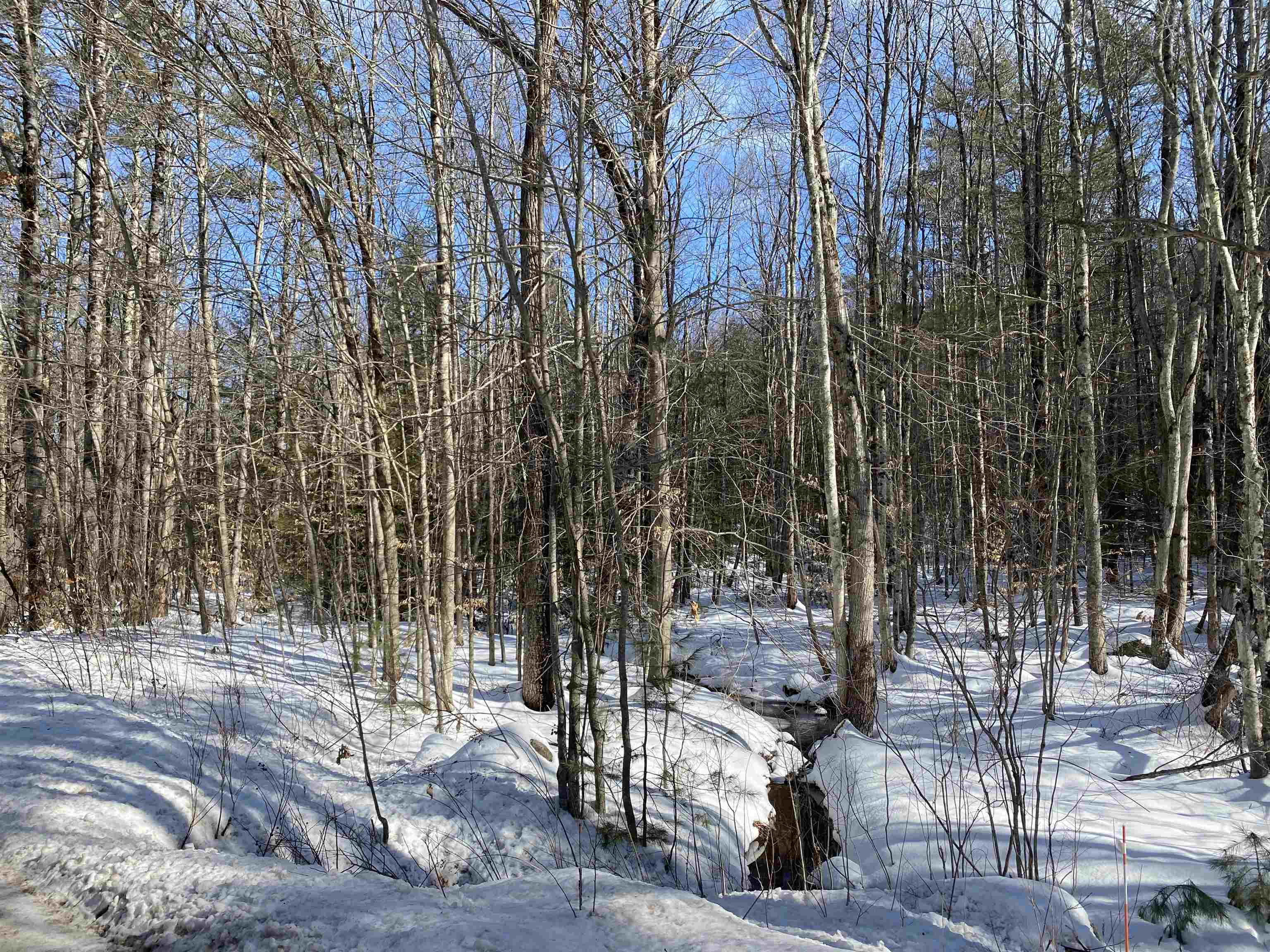 0 Galloping Hill Road Hopkinton, NH 03229 - Photo 11 of 12