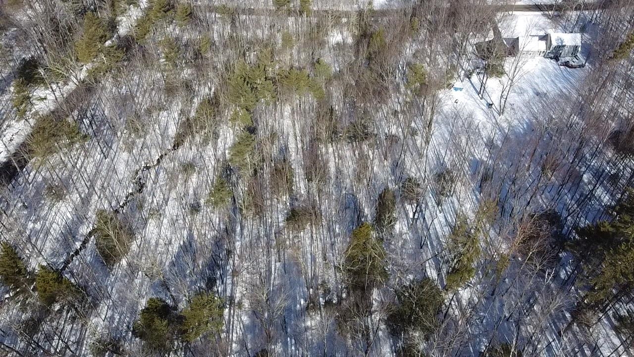 0 Galloping Hill Road Hopkinton, NH 03229 - Photo 2 of 12