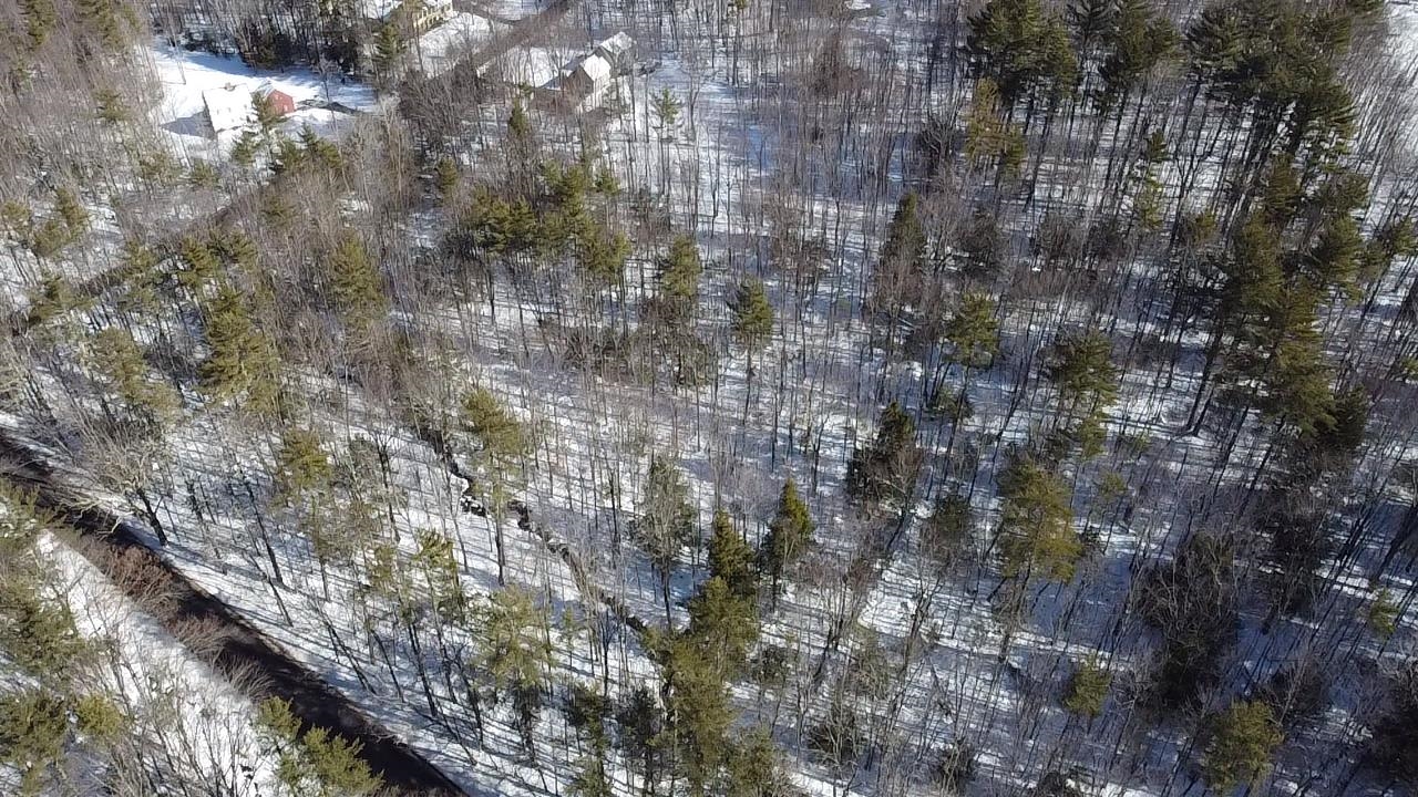 0 Galloping Hill Road Hopkinton, NH 03229 - Photo 4 of 12