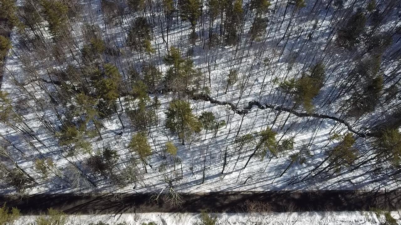 0 Galloping Hill Road Hopkinton, NH 03229 - Photo 5 of 12
