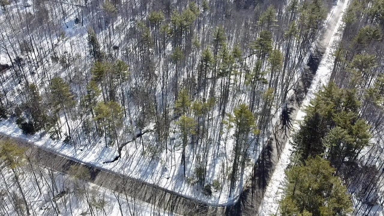 0 Galloping Hill Road Hopkinton, NH 03229 - Photo 6 of 12