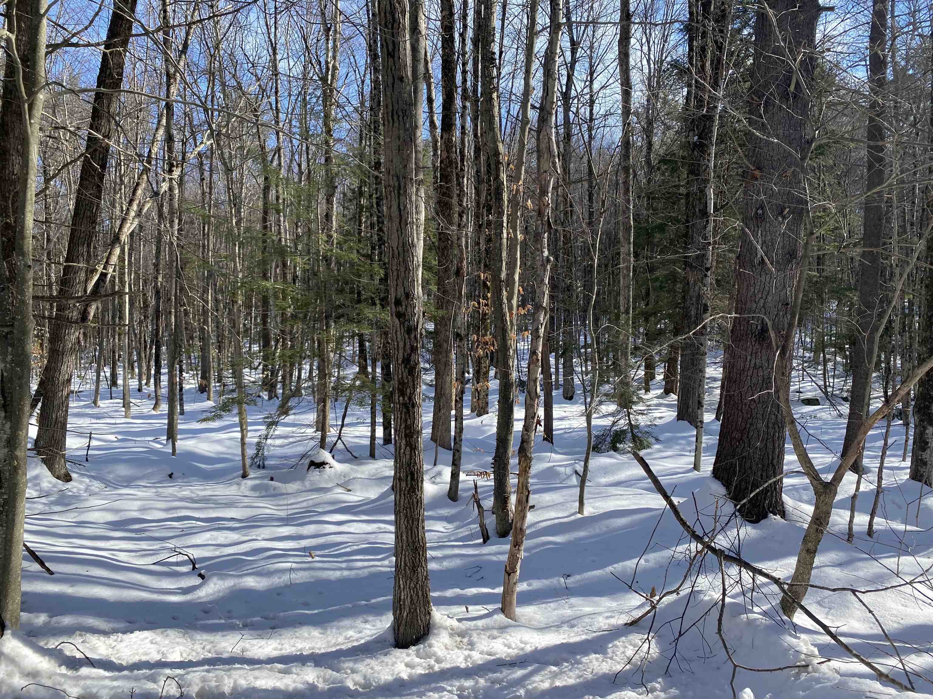 0 Galloping Hill Road Hopkinton, NH 03229 - Photo 10 of 12