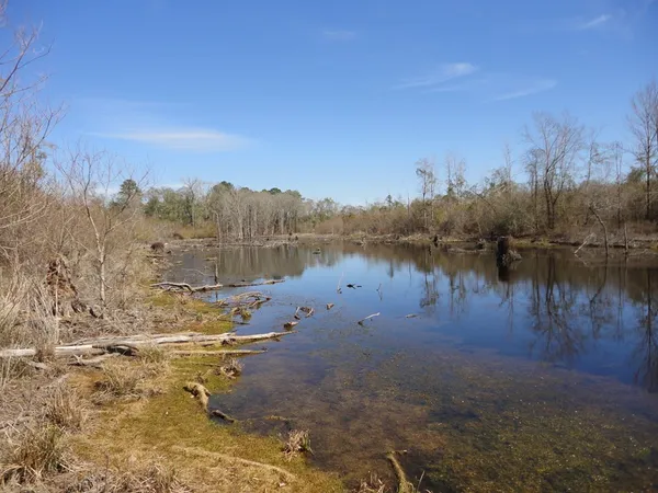 $398,000 | 226 Blue Lake Lane, Petal, MS 39465