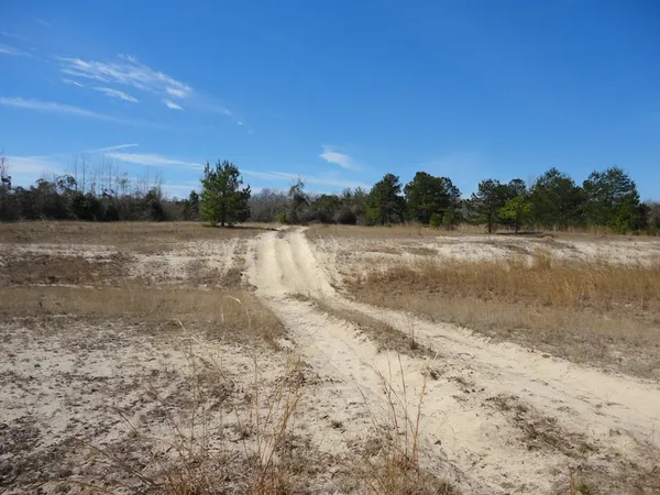 $398,000 | 226 Blue Lake Lane, Petal, MS 39465