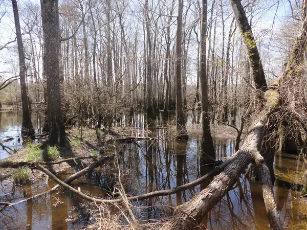 $398,000 | 226 Blue Lake Lane, Petal, MS 39465