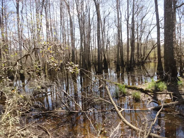 $398,000 | 226 Blue Lake Lane, Petal, MS 39465