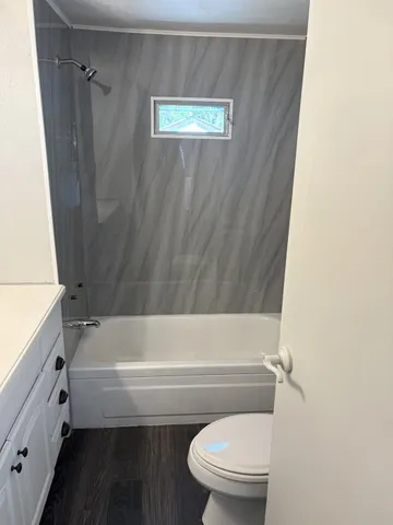 a bathroom with a toilet and a bathtub