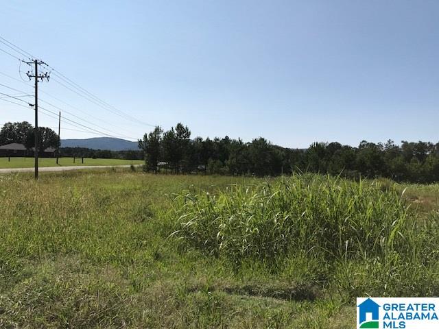 9 Easy Street, Unit 1 Anniston, AL 36207 - Photo 4 of 20