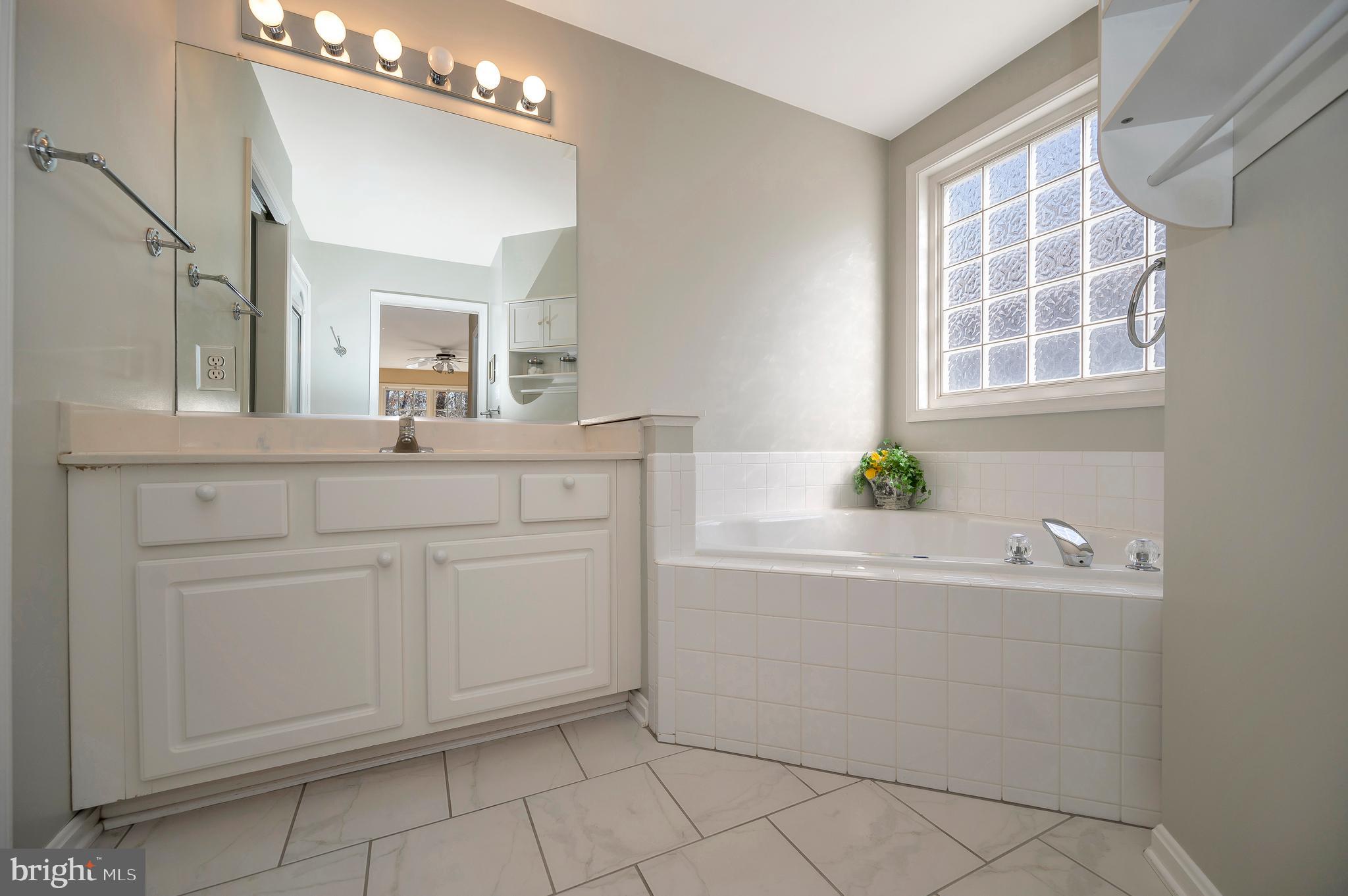 212 Birdie Road Locust Grove, VA 22508 - Photo 20 of 46 Primary bath with glass window and soaking tub