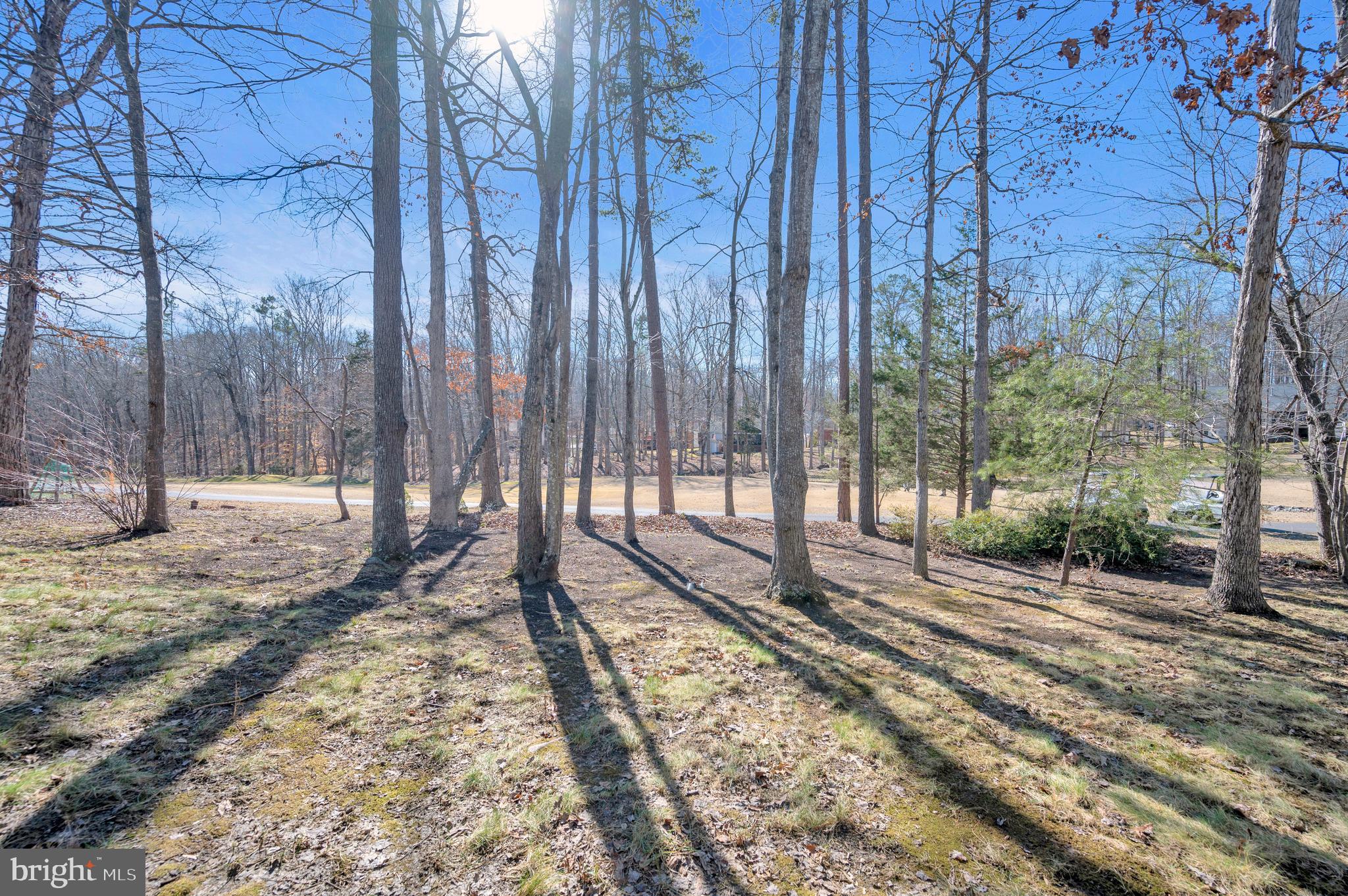 212 Birdie Road Locust Grove, VA 22508 - Photo 31 of 46 Golf course view