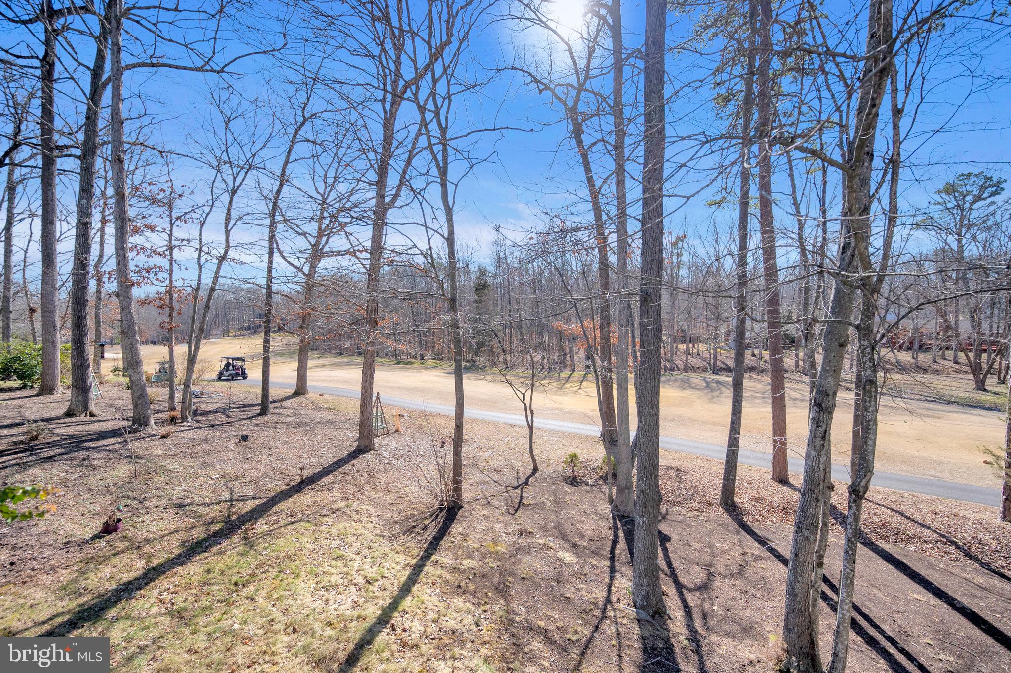 212 Birdie Road Locust Grove, VA 22508 - Photo 32 of 46 Golf course view
