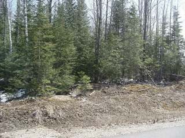 Lot14-on South Buck Ridge Drive Eagle River, WI 54521 - Photo 2 of 5 Gallery Image 2