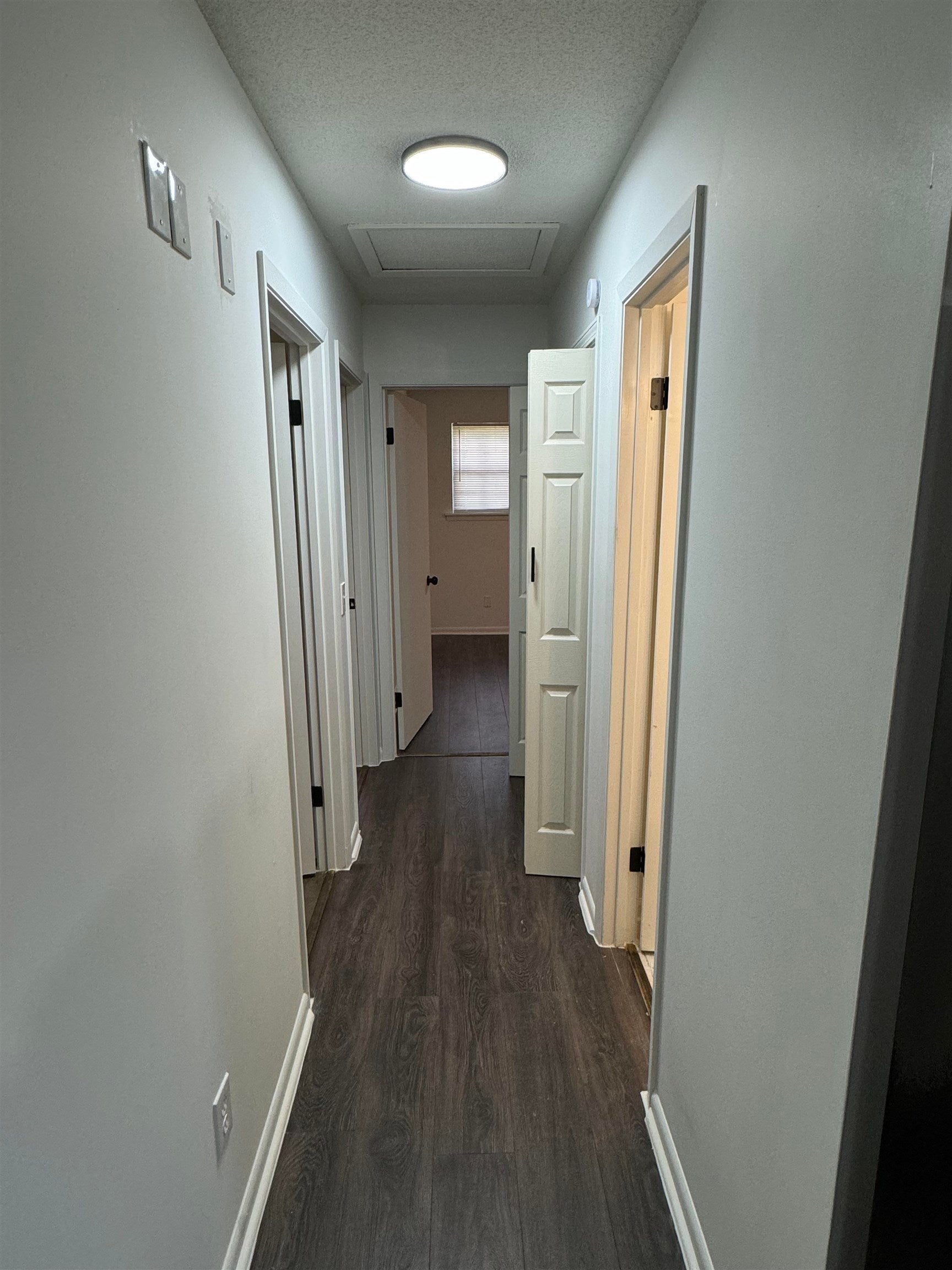 2117 Cameron Road Red Level, AL 36474 - Photo 15 of 28 Gallery Image 15
