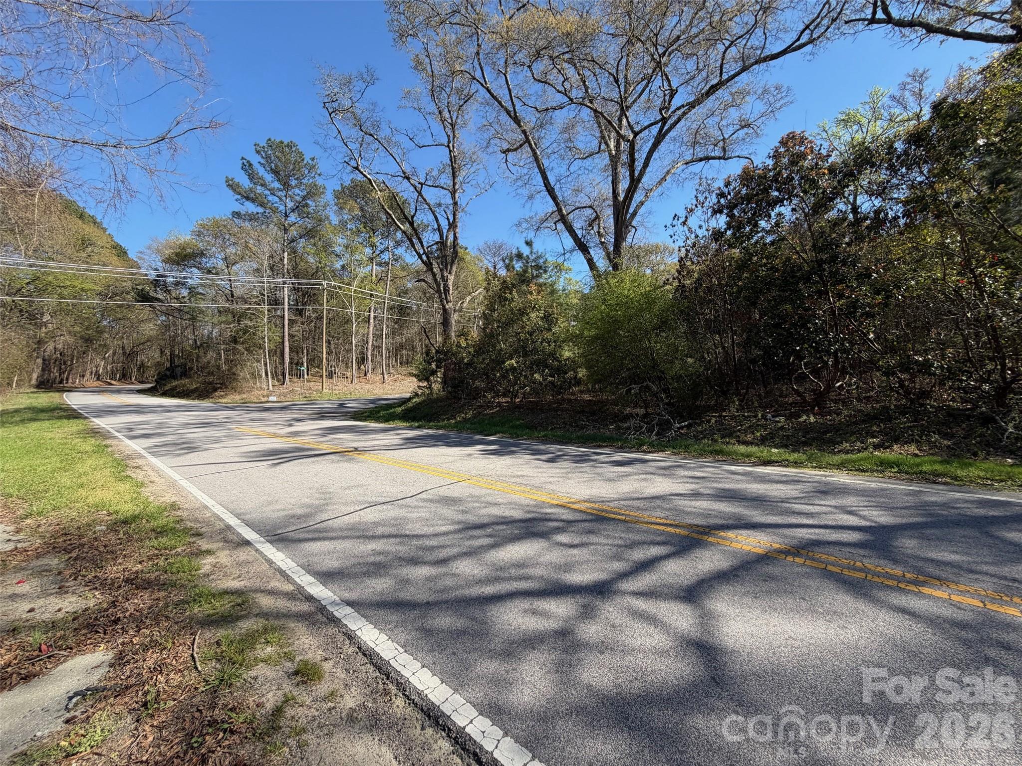 0 Gaston Farm Road Richburg, SC 29729 - Photo 4 of 6