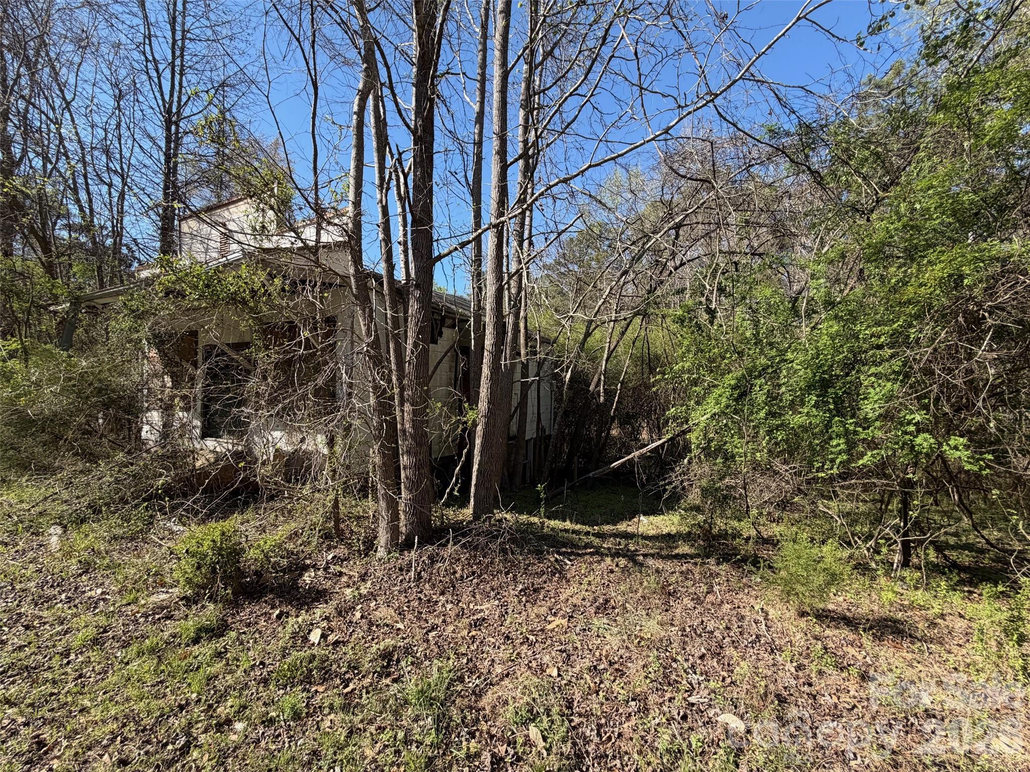 0 Gaston Farm Road Richburg, SC 29729 - Photo 5 of 6