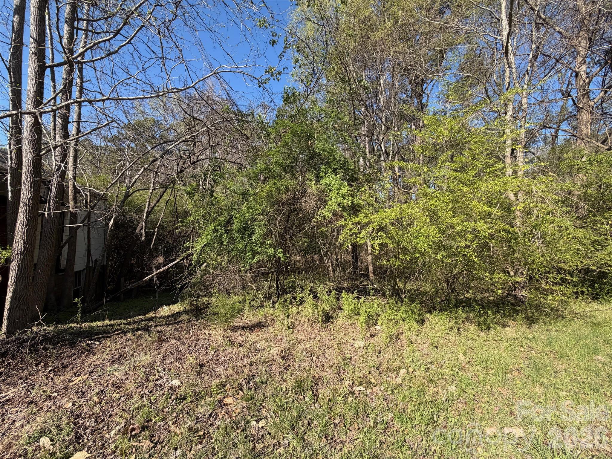 0 Gaston Farm Road Richburg, SC 29729 - Photo 6 of 6