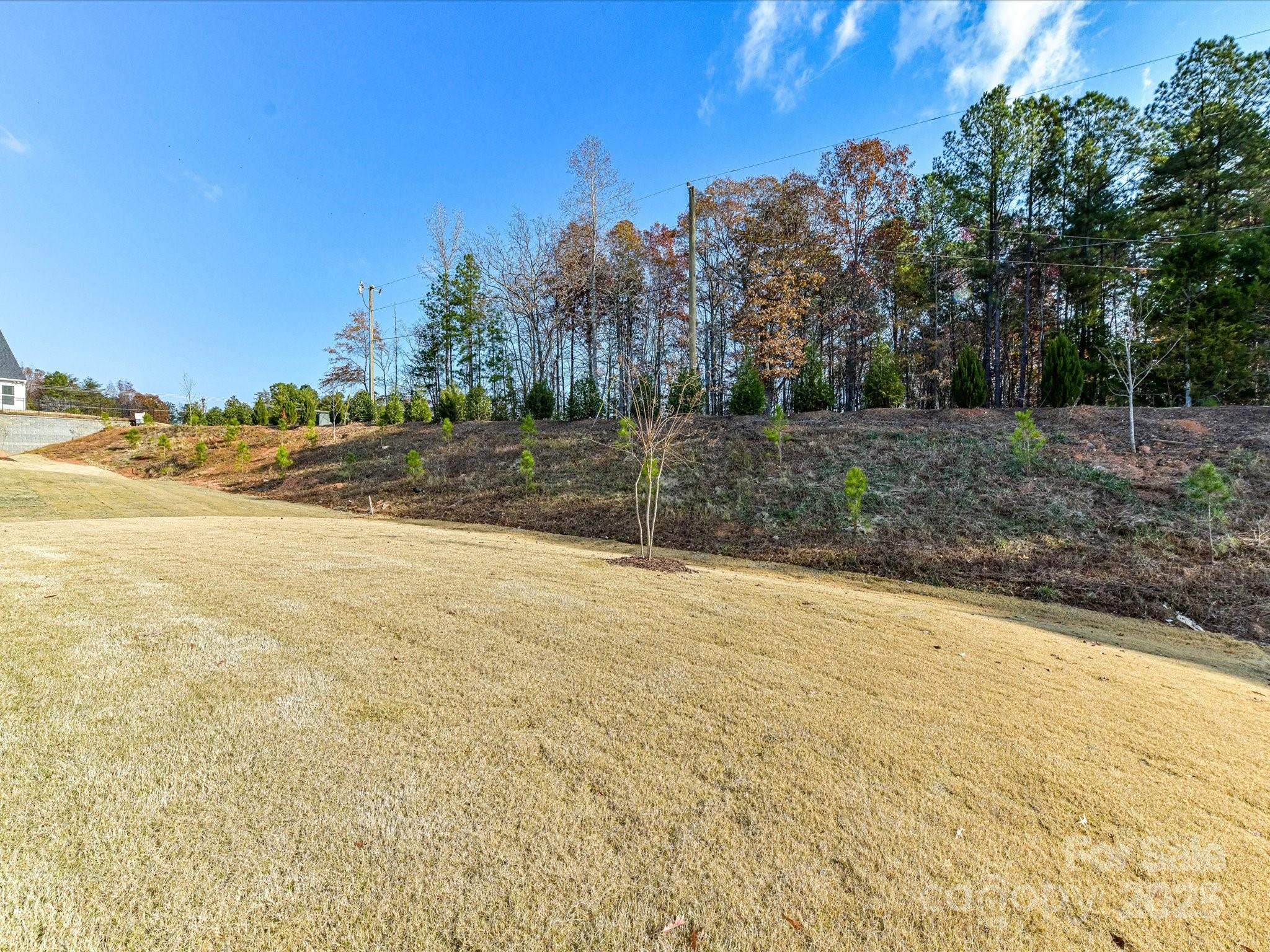 4790 Formation Court Lancaster, SC 29720 - Photo 36 of 41 a view of a yard with an outdoor space