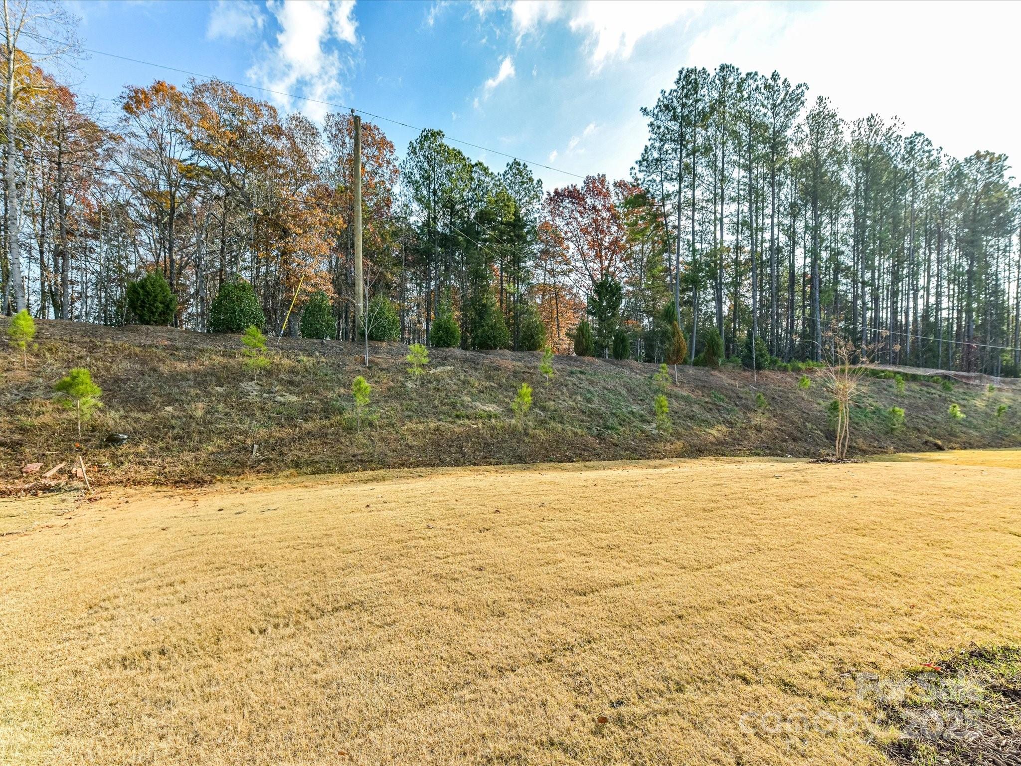 4790 Formation Court Lancaster, SC 29720 - Photo 38 of 41 a view of a yard with a tree