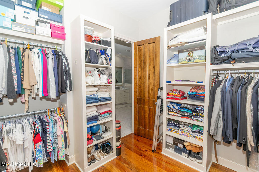 367 Caroline Boulevard Madison, MS 39110 - Photo 30 of 61 Primary Closet View #1