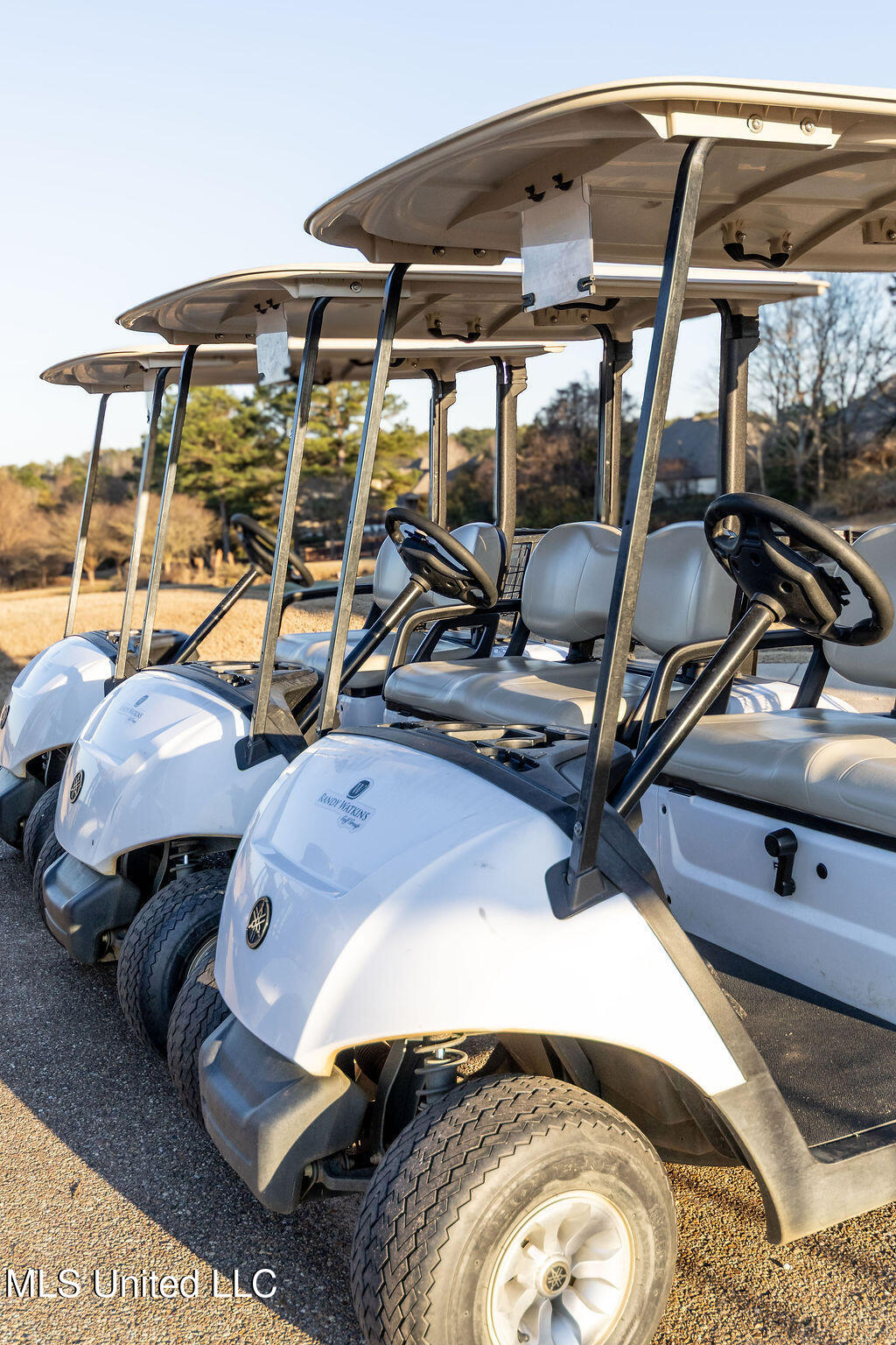 367 Caroline Boulevard Madison, MS 39110 - Photo 55 of 61 2G9A9235