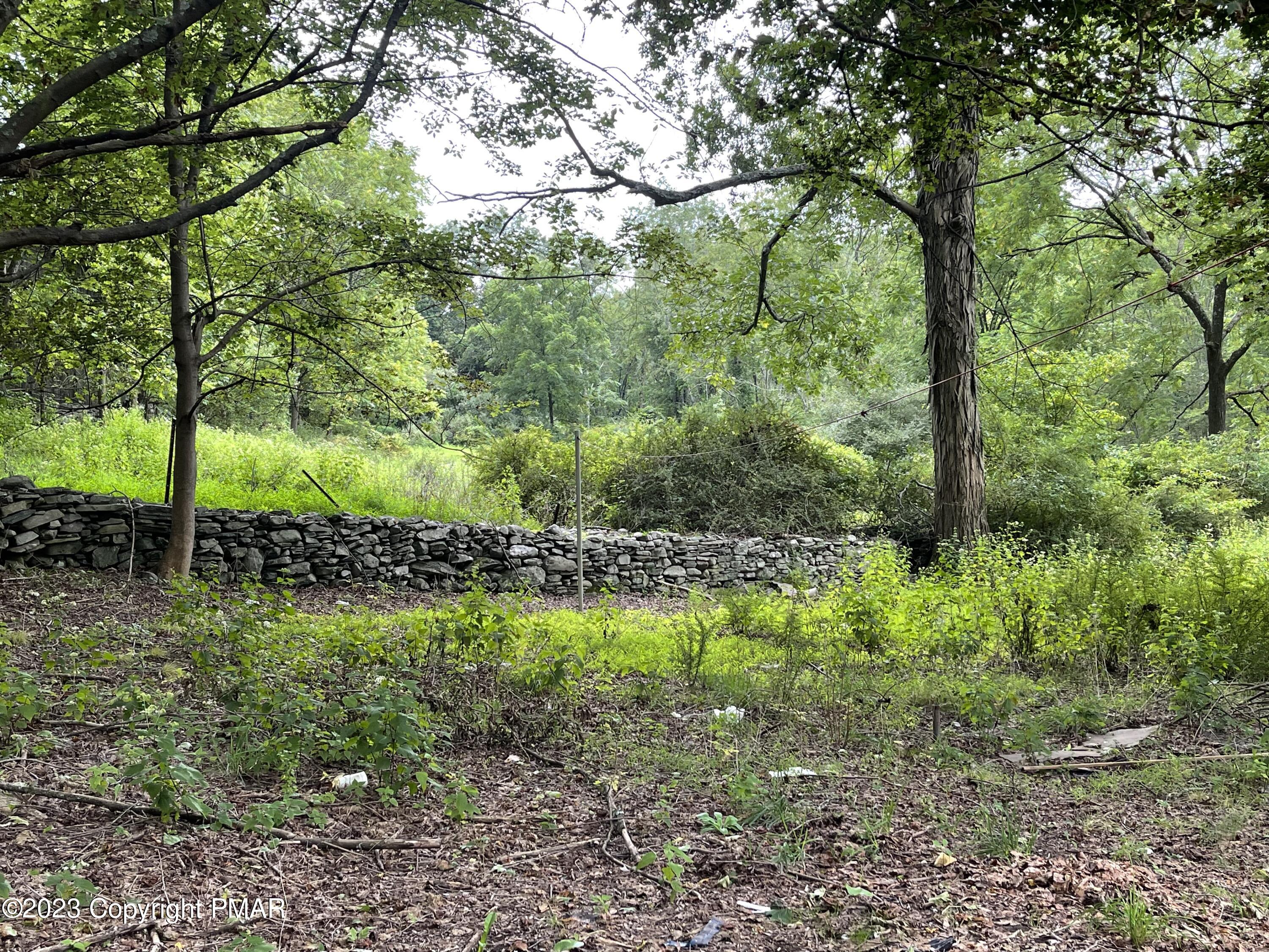 1369 Mutton Hollow Road Stroudsburg, PA 18360 - Photo 4 of 8 a view of a yard with large trees