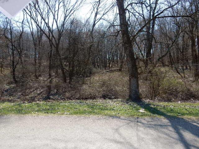 0 Grand Ridge Road Howard, OH 43028 - Photo 5 of 5 DSCN5159