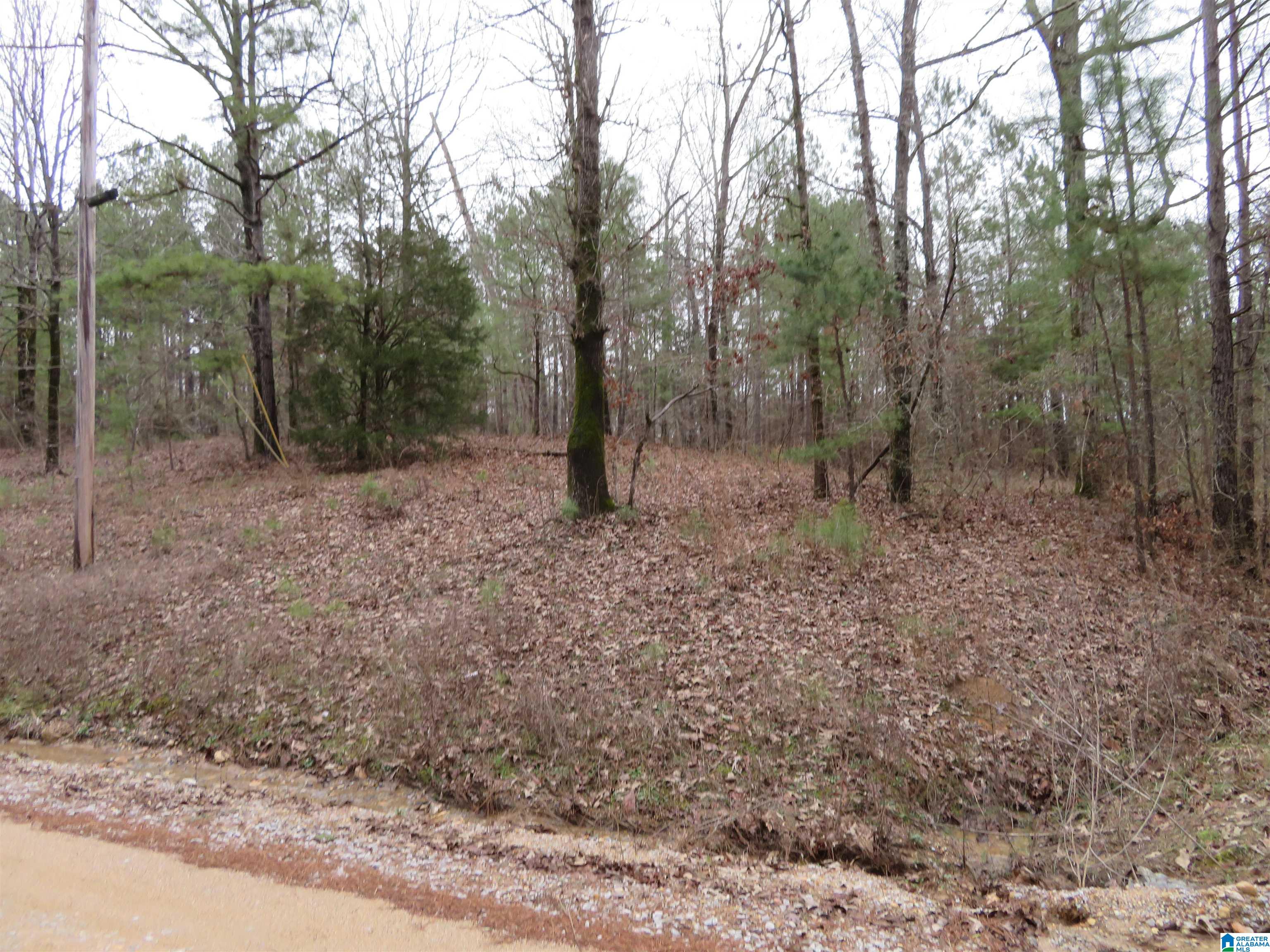 0 Cp Crk Road, Unit ACREAGE West Blocton, AL 35184 - Photo 1 of 6