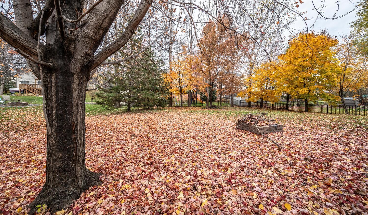 18644 85th Avenue North Maple Grove, MN 55311 - Photo 9 of 57