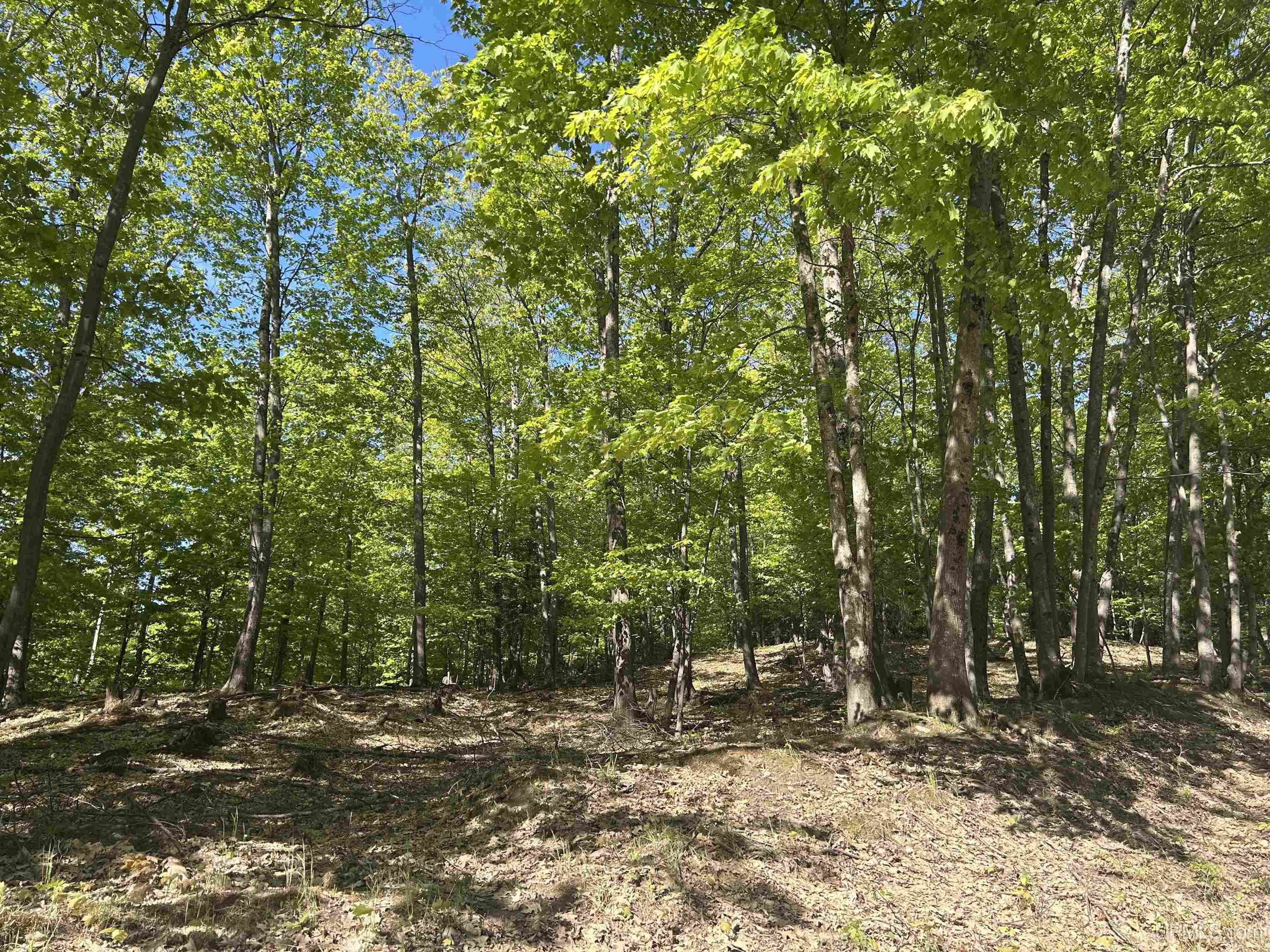Tbd McClure Dm Road Negaunee, MI 49866 - Photo 13 of 16